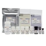 碧云天 Rabbit IL-6 ELISA Kit（兔白细胞介素6酶联免疫吸附检测试剂盒）(PI335)