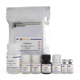 碧云天 Human IgE ELISA Kit(人总免疫球蛋白E酶联免疫吸附检测试剂盒)(PI479)