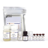 碧云天 Mouse IgM ELISA Kit(小鼠总免疫球蛋白M酶联免疫吸附检测试剂盒)(PI489)