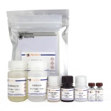 碧云天 Human IgM ELISA Kit(人总免疫球蛋白M酶联免疫吸附检测试剂盒)(PI492)