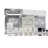 碧云天 Human IL-18/IL-1F4 ELISA Kit(人白细胞介素18酶联免疫吸附检测试剂盒)(PI558)