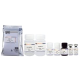 碧云天 2019-nCoV Spike Protein RBD ELISA Kit(新冠病毒刺突蛋白受体结合域ELISA试剂盒)(PS850)