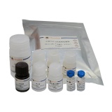 碧云天 Mouse TNF-α ELISA Kit (High-sensitive)（小鼠TNF-α ELISA试剂盒）(PT513)