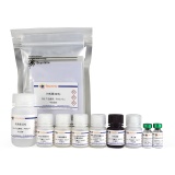 碧云天 Human Visfatin/PBEF/NAMPT ELISA Kit(人Visfatin/PBEF/NAMPT ELISA试剂盒)(PV917)