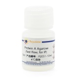 碧云天 Protein A Agarose (Fast Flow, 免疫沉淀用)(P2051-10ml)