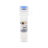 碧云天 Protein G Agarose (Fast Flow, 免疫沉淀用)(P2053-2ml)