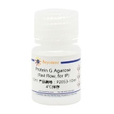 碧云天 Protein G Agarose (Fast Flow, 免疫沉淀用)(P2053-10ml)