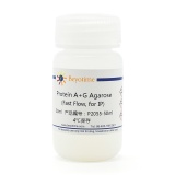 碧云天 Protein A+G Agarose (Fast Flow, 免疫沉淀用)(P2055-50ml)