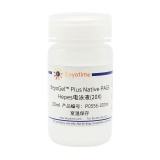 碧云天 BeyoGel Plus Native-PAGE Hepes电泳液(20X)(P0556-100ml)