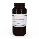 碧云天 8% SDS-PAGE下层胶预混液(P0678-500ml)