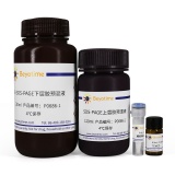 碧云天 6% SDS-PAGE凝胶超快速配制试剂盒(P0686)