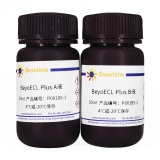 碧云天 BeyoECL Plus (超敏ECL化学发光试剂盒)(P0018S)