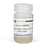 碧云天 Western一抗稀释液(P0023A-100ml)