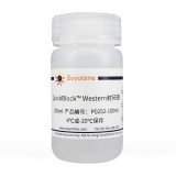 碧云天 QuickBlock Western封闭液(P0252-100ml)