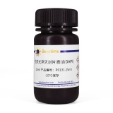 碧云天 抗荧光淬灭封片液(含DAPI)(P0131-25ml)