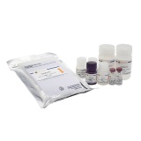 碧云天 Mouse Adiponectin ELISA Kit(小鼠Adiponectin ELISA试剂盒)(PA002)