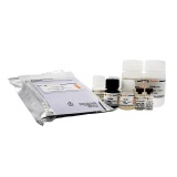 碧云天 Human Angiogenin ELISA Kit(人Angiogenin ELISA试剂盒)(PA023)