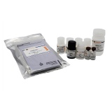 碧云天 Human FGF-acidic ELISA Kit (人 FGF-acidic ELISA试剂盒)(PF319)