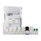 碧云天 Mouse IL-6 ELISA Kit(小鼠IL-6 ELISA试剂盒)(PI326)