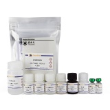 碧云天 Rat IL-6 ELISA Kit(大鼠IL-6 ELISA试剂盒)(PI328)