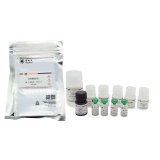 碧云天 Porcine IL-6 ELISA Kit (猪 IL-6 ELISA试剂盒)(PI332)