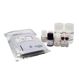 碧云天 Human Hepcidin ELISA Kit (人 Hepcidin ELISA试剂盒)(PH378)