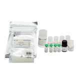 碧云天 Human HGF ELISA Kit(人HGF ELISA试剂盒)(PH385)