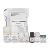 碧云天 Mouse/Rat IGF-I ELISA Kit (小鼠/大鼠 IGF-I ELISA试剂盒)(PI485)