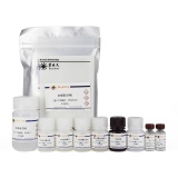 碧云天 Human IL-10 ELISA Kit(人IL-10 ELISA试剂盒)(PI528)