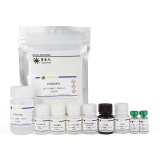 碧云天 Mouse IL-12 p70 ELISA Kit(小鼠IL-12 p70 ELISA试剂盒)(PI530)