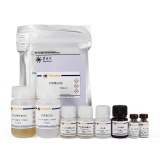 碧云天 Human IL-21 ELISA Kit (人IL-21 ELISA试剂盒)(PI588)