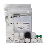 碧云天 Rat Insulin ELISA Kit (Ultrasensitive)(大鼠胰岛素ELISA试剂盒)(PI606)