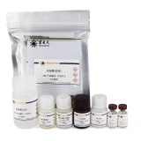 碧云天 Human Insulin ELISA Kit (Ultrasensitive)(人胰岛素ELISA试剂盒)(PI608)