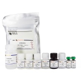 碧云天 Human IL-8 ELISA Kit(人IL-8 ELISA试剂盒)(PI640)