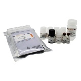 碧云天 Human KGF/FGF-7 ELISA Kit(人KGF/FGF-7 ELISA试剂盒)(PK678)