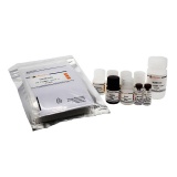 碧云天 Mouse Leptin ELISA Kit(小鼠Leptin ELISA试剂盒)(PL696)