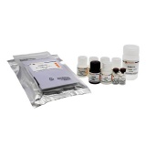 碧云天 Human Resistin ELISA Kit(人Resistin ELISA试剂盒)(PR798)