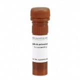 Biofroxx 2109MG100 D-荧光素钾盐D-Luciferin potassium salt -20度