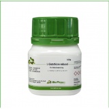 BioFroxx 1392GR100 L-还原型谷胱甘肽 L-Glutathione reduced