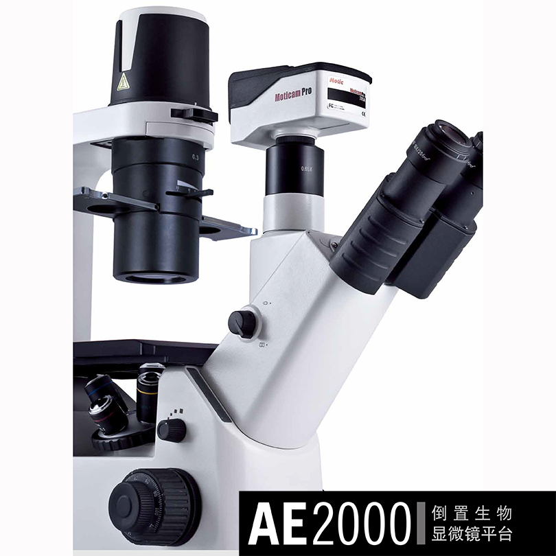 AE2000倒置生物显微镜-12.jpg