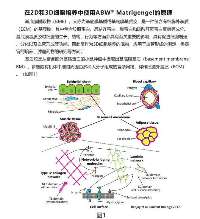 微信截图_20221115172722.png